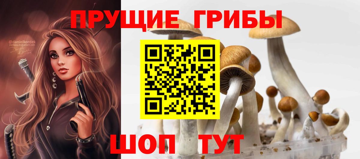 Галлюциногенные грибы ЛСД  хочу   Тимашёвск  Галлюциногенные грибы Magic Shrooms  Вход с VPN 